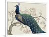 Peacock and Blossoms II-Tim O'toole-Framed Art Print