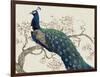 Peacock and Blossoms II-Tim O'toole-Framed Art Print