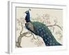 Peacock and Blossoms II-Tim O'toole-Framed Art Print