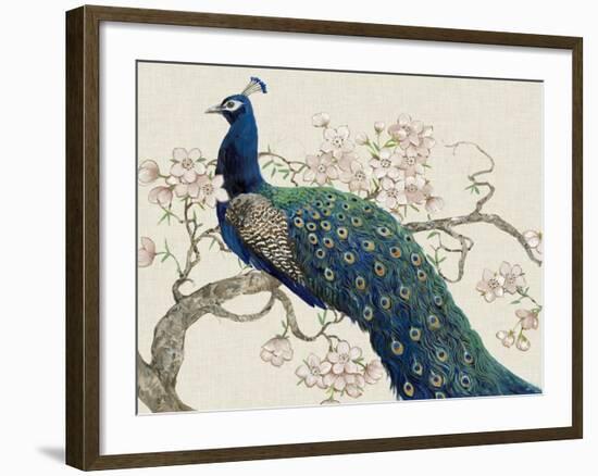 Peacock and Blossoms II-Tim O'toole-Framed Art Print