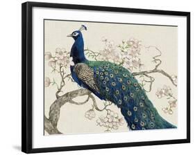 Peacock and Blossoms II-Tim O'toole-Framed Art Print