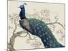 Peacock and Blossoms II-Tim O'toole-Mounted Art Print