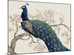 Peacock and Blossoms II-Tim O'toole-Mounted Art Print