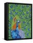 Peacock and Butterflies-Drawpaint Illustration-Framed Stretched Canvas