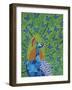 Peacock and Butterflies-Drawpaint Illustration-Framed Giclee Print