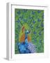 Peacock and Butterflies-Drawpaint Illustration-Framed Giclee Print