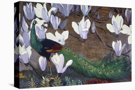 Peacock and Magnolia-Jesse Arms Botke-Stretched Canvas