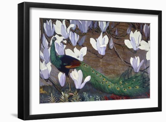 Peacock and Magnolia-Jesse Arms Botke-Framed Art Print
