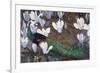 Peacock and Magnolia-Jesse Arms Botke-Framed Art Print