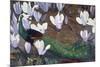 Peacock and Magnolia-Jesse Arms Botke-Mounted Art Print