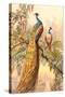 Peacock and Peahen, Illustration-null-Stretched Canvas