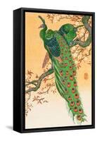 Peacock and Peahen on Branch-Koson Ohara-Framed Stretched Canvas