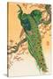 Peacock and Peahen on Branch-Koson Ohara-Stretched Canvas