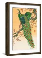 Peacock and Peahen on Branch-Koson Ohara-Framed Giclee Print