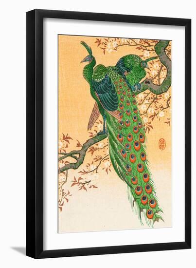 Peacock and Peahen on Branch-Koson Ohara-Framed Giclee Print