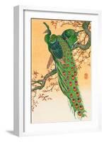 Peacock and Peahen on Branch-Koson Ohara-Framed Giclee Print