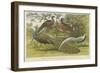 Peacock and Pheasants-null-Framed Giclee Print