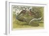 Peacock and Pheasants-null-Framed Giclee Print