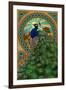 Peacock - Art Nouveau-Lantern Press-Framed Art Print