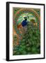 Peacock - Art Nouveau-Lantern Press-Framed Art Print