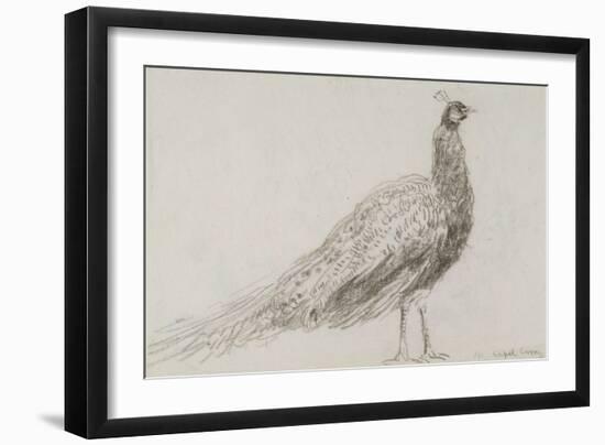 Peacock at Capel Curig, C.1845-David Cox-Framed Giclee Print