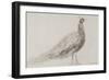 Peacock at Capel Curig, C.1845-David Cox-Framed Giclee Print
