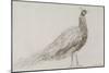 Peacock at Capel Curig, C.1845-David Cox-Mounted Giclee Print