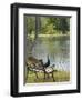 Peacock at the Smith Family Luau Garden Grounds, Kauai, Hawaii, USA-Savanah Stewart-Framed Premium Photographic Print