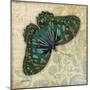 Peacock Bfly 2-Diane Stimson-Mounted Art Print