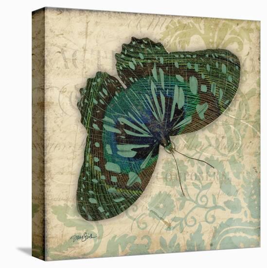 Peacock Bfly 2-Diane Stimson-Stretched Canvas