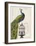 Peacock Birdcage I-Hugo Wild-Framed Art Print