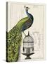 Peacock Birdcage I-Hugo Wild-Stretched Canvas