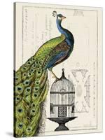 Peacock Birdcage I-Hugo Wild-Stretched Canvas