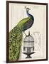 Peacock Birdcage I-Hugo Wild-Framed Art Print