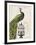 Peacock Birdcage I-Hugo Wild-Framed Art Print