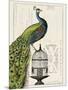 Peacock Birdcage I-Hugo Wild-Mounted Art Print