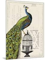 Peacock Birdcage I-Sue Schlabach-Mounted Art Print