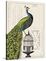 Peacock Birdcage I-Sue Schlabach-Stretched Canvas