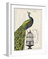 Peacock Birdcage I-Sue Schlabach-Framed Art Print