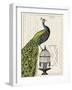 Peacock Birdcage I-Sue Schlabach-Framed Art Print