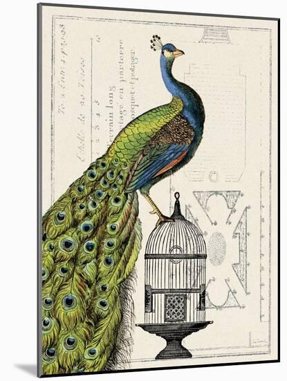 Peacock Birdcage I-Sue Schlabach-Mounted Art Print