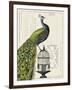 Peacock Birdcage I-Sue Schlabach-Framed Art Print