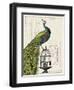 Peacock Birdcage I-Sue Schlabach-Framed Art Print