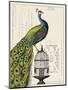 Peacock Birdcage I-Sue Schlabach-Mounted Art Print