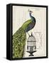Peacock Birdcage I-Sue Schlabach-Framed Stretched Canvas