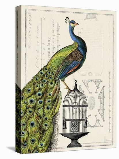 Peacock Birdcage I-Sue Schlabach-Stretched Canvas