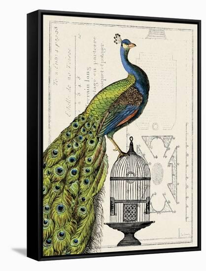 Peacock Birdcage I-Sue Schlabach-Framed Stretched Canvas