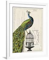 Peacock Birdcage I-Sue Schlabach-Framed Art Print