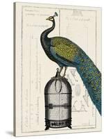 Peacock Birdcage II-Hugo Wild-Stretched Canvas