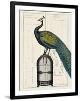 Peacock Birdcage II-Hugo Wild-Framed Art Print